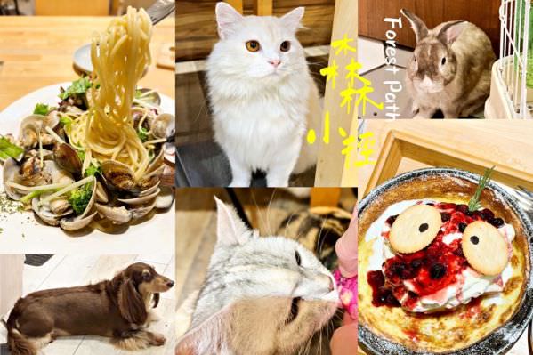 森林小徑精誠店对宠物超友善