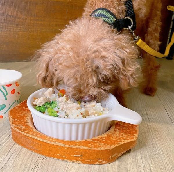 森林小徑精誠店对宠物超友善